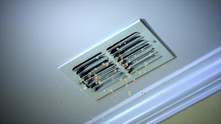 Best HVAC Duct Inspection Services  in Biglerville, PA